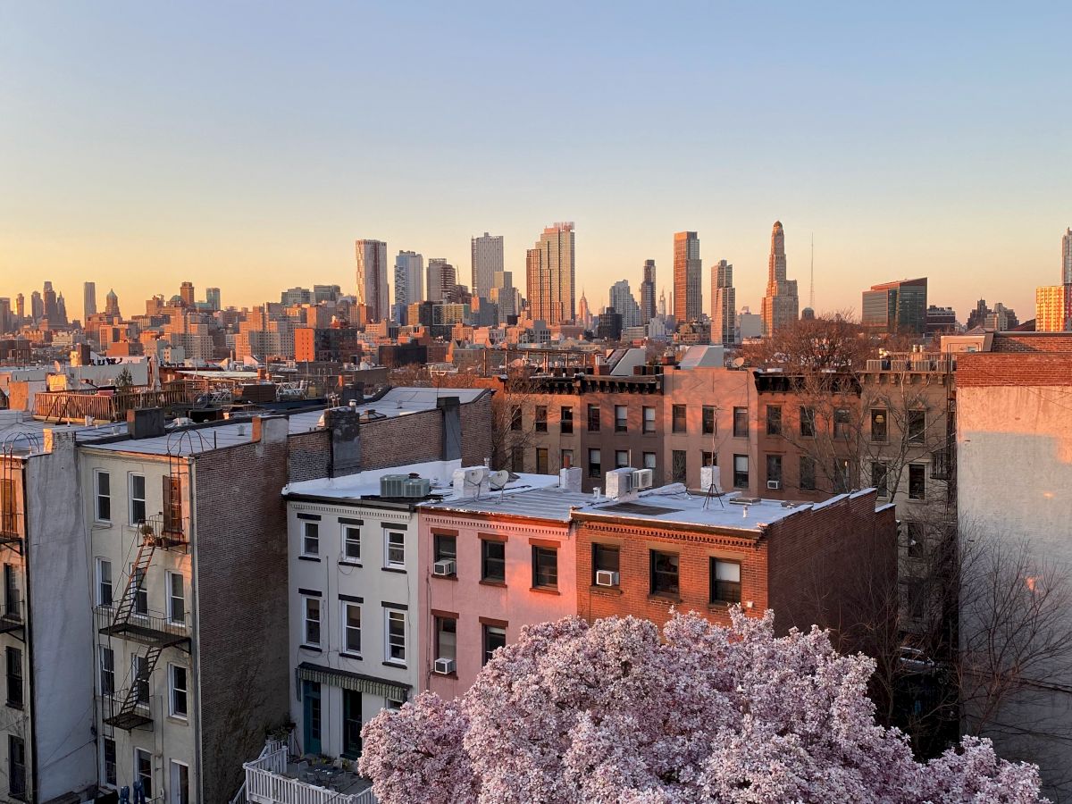 The image depicts an urban skyline with a mix of high-rise and low-rise buildings, and pink blossoming trees in full bloom in the foreground.